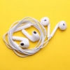 Earphones