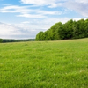 Lands
