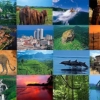 Local Attractions
